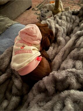 Strawberry Shortcake Cream & Pink Dog Hoodie